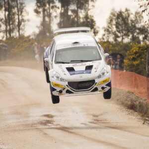 Peugeot 208 2020